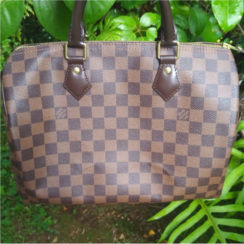 Louis Vuitton Speedy 30